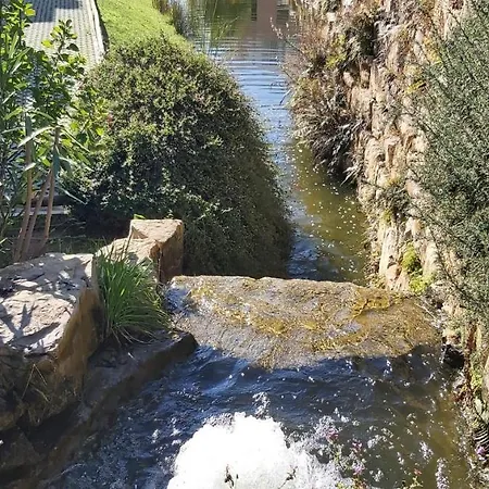 Paz Em קבאנס דה טאבירה